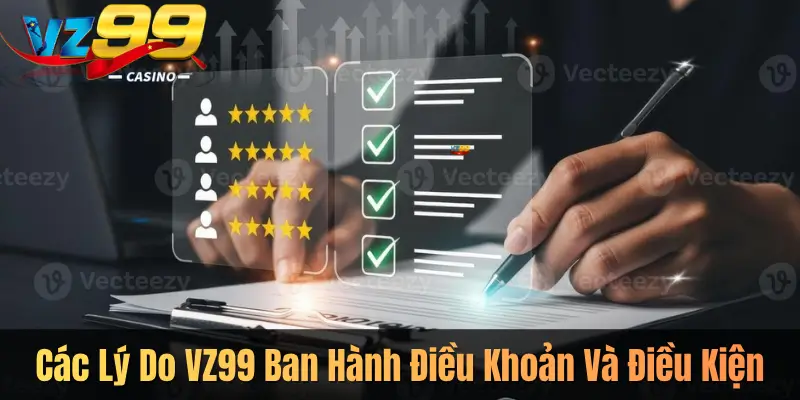 Các Lý Do VZ99 Ban Hành Điều Khoản Và Điều Kiện