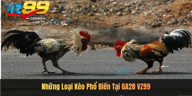 Những Loại Kèo Phổ Biến Tại GA28 VZ99